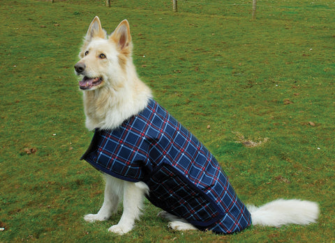 Rhinegold Alaska Waterproof Large Breed Dog Coat