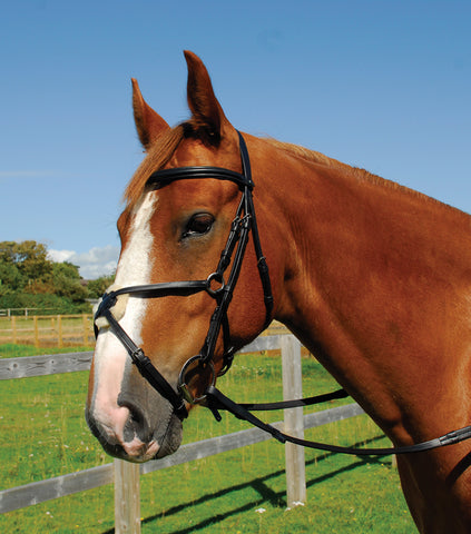 Rhinegold Heritage English Leather Bridle With Mexican Noseband