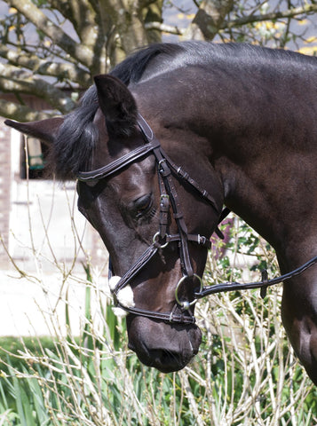 Rhinegold ‘Elegance’ German Leather Bridle With Mexican Style Noseband