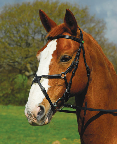 Rhinegold 'Comfort' Bridle With Mexican Noseband